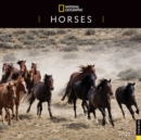 Image for National Geographic: Horses 2023 Wall Calendar