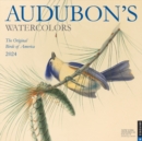 Image for Audubon’s Watercolors 2024 Wall Calendar