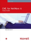 Image for Novell&#39;s CNE Study Guide for Netware 6