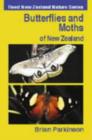 Image for Butterflies and Moths of New Zealand