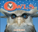 Image for Owls (Level 10)
