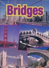 Image for Bridges : Cougar