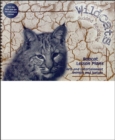 Image for Bobcats Combined Lesson Plans / Adventure Journals for New Bobcats Add-On Pack