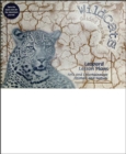 Image for Leopards Combined Lesson Plans / Adventure Journals for New Leopards Add-on Pack