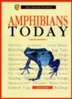 Image for Amphibians Today