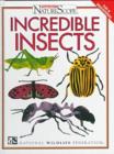 Image for Incredible Insects
