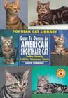Image for Guide to Owning an American Shorthair Cat