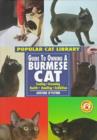 Image for Guide to Owning a Burmese Cat