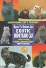 Image for Guide to Owning an Exotic Shorthair Cat