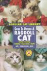 Image for Guide to Owning a Ragdoll Cat