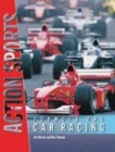 Image for Formula One Car Racing