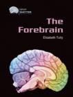 Image for The Forebrain