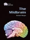 Image for The Midbrain