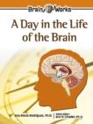 Image for A Day in the Life of the Brain