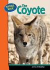 Image for The Coyote