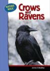 Image for Ravens and Crows