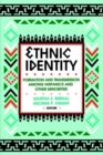 Image for Ethnic Identity : Formation and Transmission among Hispanics and Other Minorities