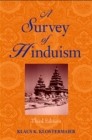 Image for A survey of Hinduism