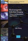 Image for Electromagnetic Induction Imaging