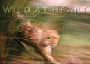 Image for Wild at heart  : man and beast in southern Africa