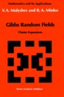 Image for Gibbs Random Fields