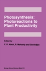 Image for Photosynthesis : Photoreactions to Plant Productivity