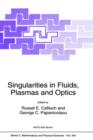Image for Singularities in Fluids, Plasmas and Optics