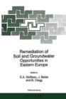 Image for Remediation of Soil and Groundwater