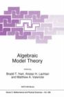 Image for Algebraic Model Theory