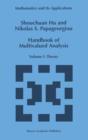 Image for Handbook of Multivalued Analysis : Volume I: Theory