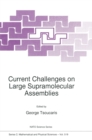 Image for Current Challenges on Large Supramolecular Assemblies
