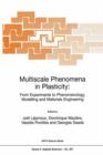 Image for Multiscale Phenomena in Plasticity: From Experiments to Phenomenology, Modelling and Materials Engineering
