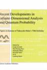 Image for Recent Developments in Infinite-Dimensional Analysis and Quantum Probability : Papers in Honour of Takeyuki Hida’s 70th Birthday