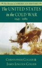 Image for The United States in the Cold War: 1945 - 1989