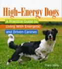 Image for High-Energy Dogs