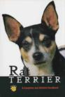 Image for Rat terrier  : a complete and reliable handbook