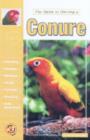 Image for The guide to owning a conure