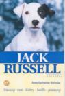 Image for Jack Russell Terriers