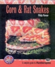 Image for Corn and Rat Snakes
