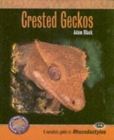 Image for Crested Geckos