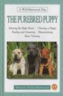 Image for The Purebred Puppy