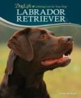 Image for Labrador Retriever : Doglife: Lifelong Care for Your Dog