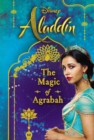Image for Disney Aladdin: The Magic of Agrabah