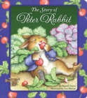 Image for The Story of Peter Rabbit