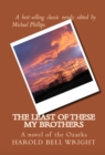 Image for Least of These My Brothers: A Novel of the Ozarks