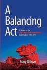 Image for A Balancing Act : A History of the Legal Resources Foundation 1985-2015