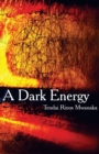 Image for A Dark Energy