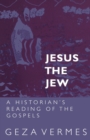 Image for Jesus the Jew