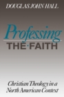 Image for Professing the Faith : Christian Theology in a North American Context
