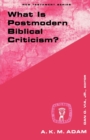 Image for What Is Postmodern Biblical Criticism?